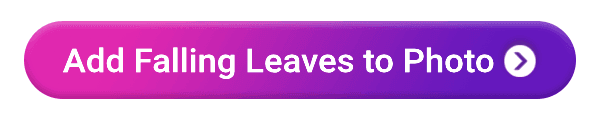 Add falling leaves animation to photos