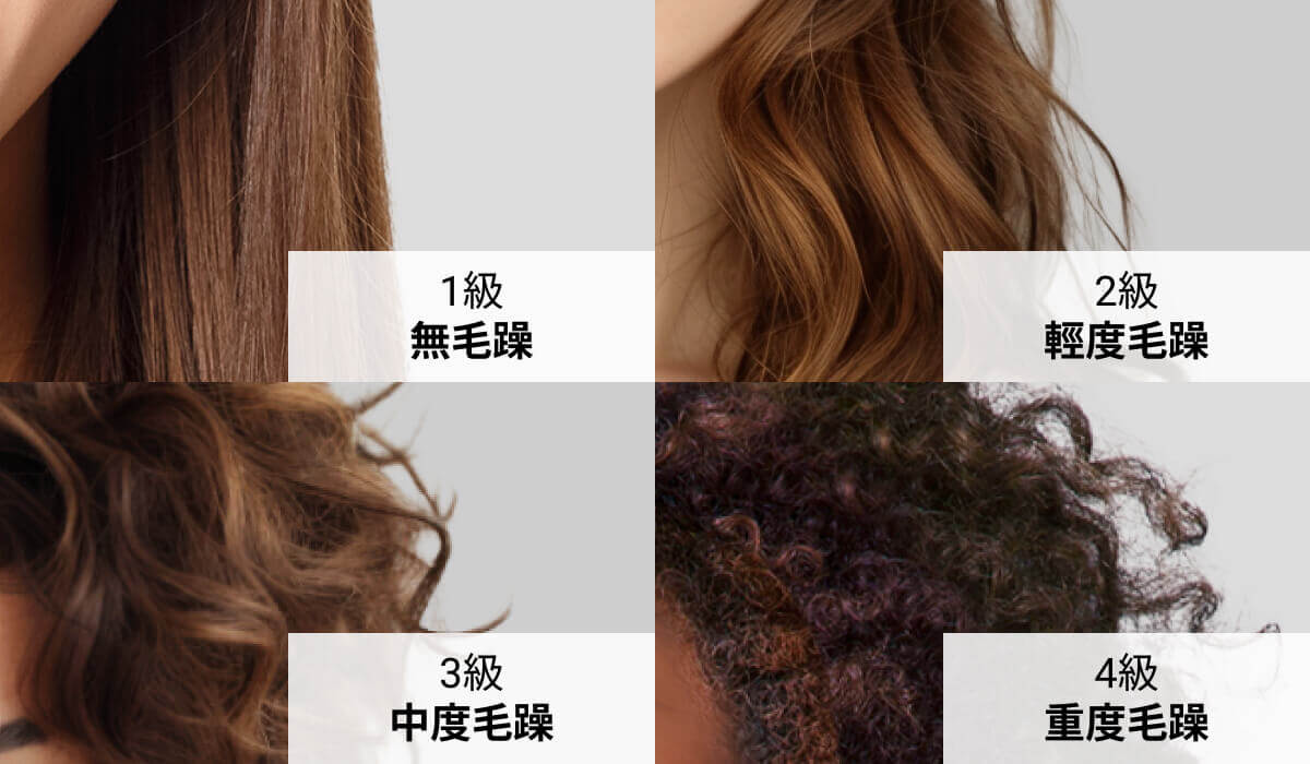 AI 毛躁髮質分析：精準識別 4 種毛躁程度