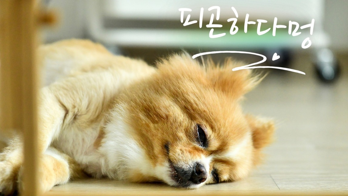 사진에 텍스트 추가하는 방법 3단계