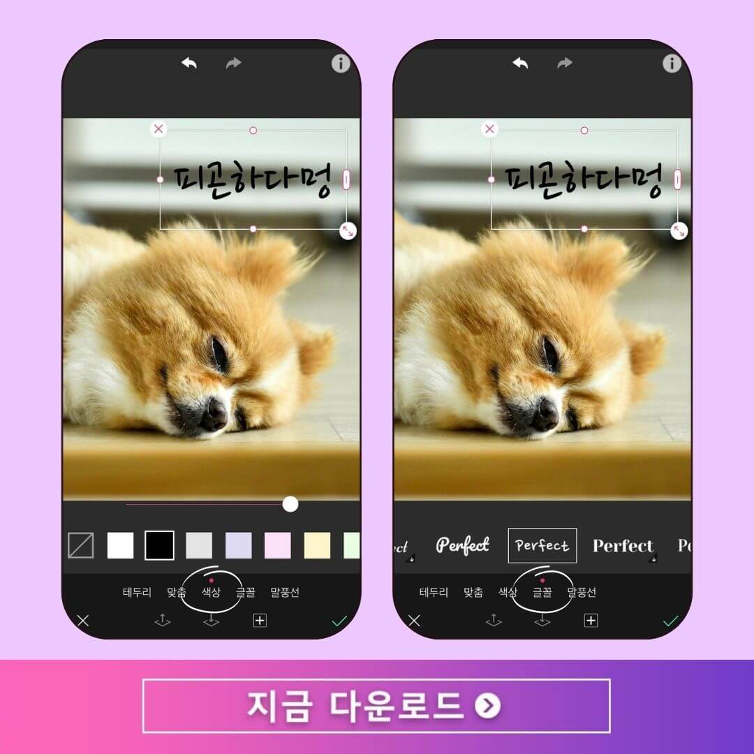 사진에 텍스트 추가하는 방법