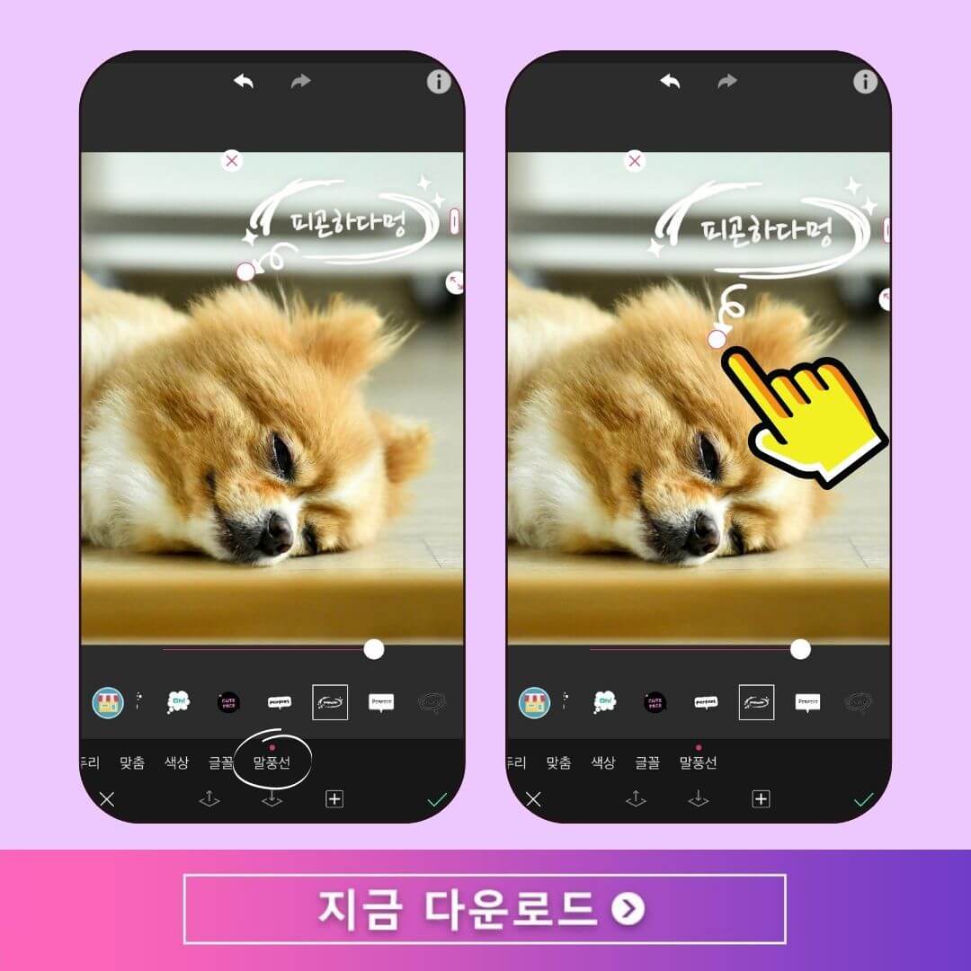 사진에 텍스트 추가하는 방법