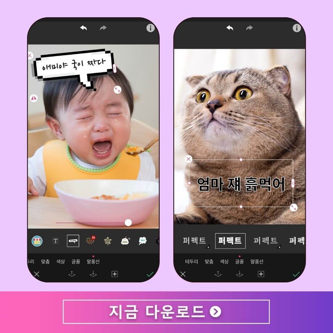 사진에 텍스트 추가하는 방법