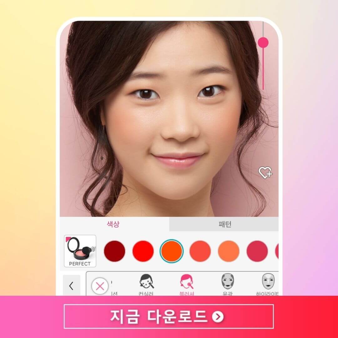 웜톤 쿨톤에 맞는 블러셔 추천