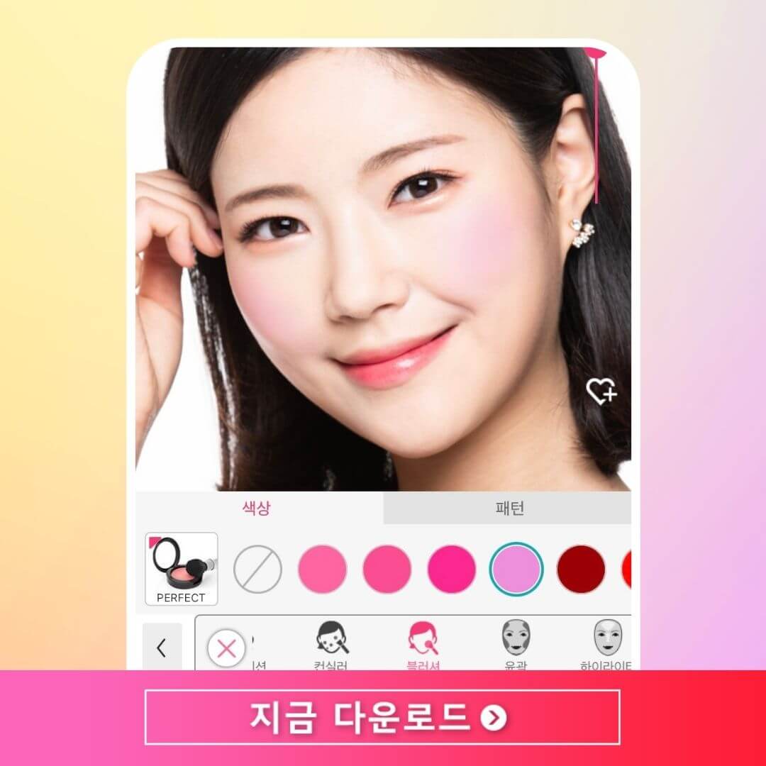 웜톤 쿨톤에 맞는 블러셔 추천