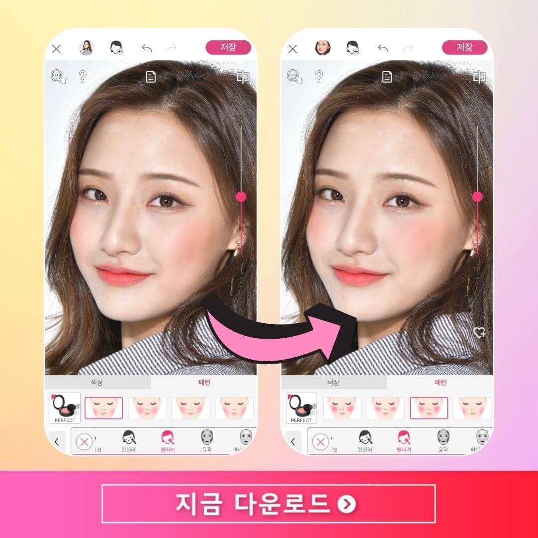 웜톤 쿨톤에 맞는 블러셔 추천