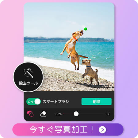 無料アプリで写真から人や物を消す方法 ワンタップで簡単削除 22年最新 Perfect
