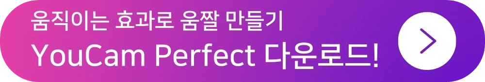 YouCam Perfect 다운로드