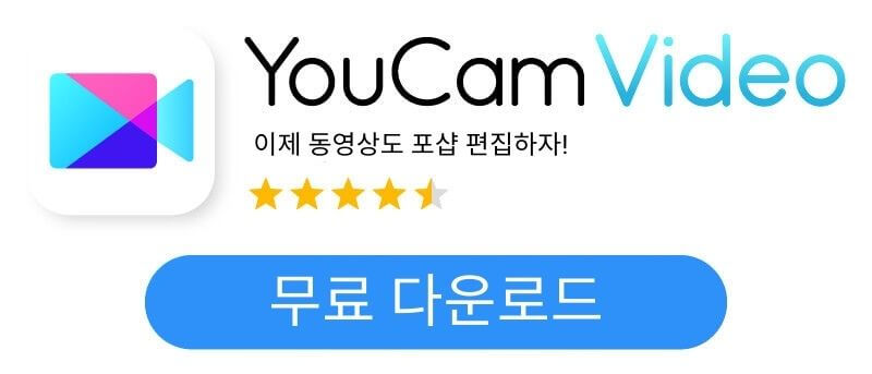 YouCam Video 다운로드