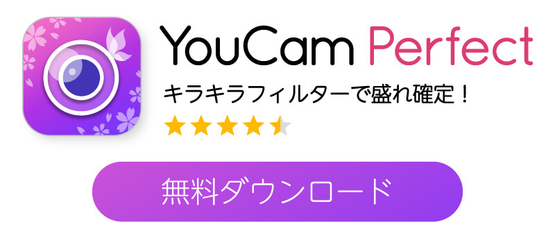 ダウンロードボタン
