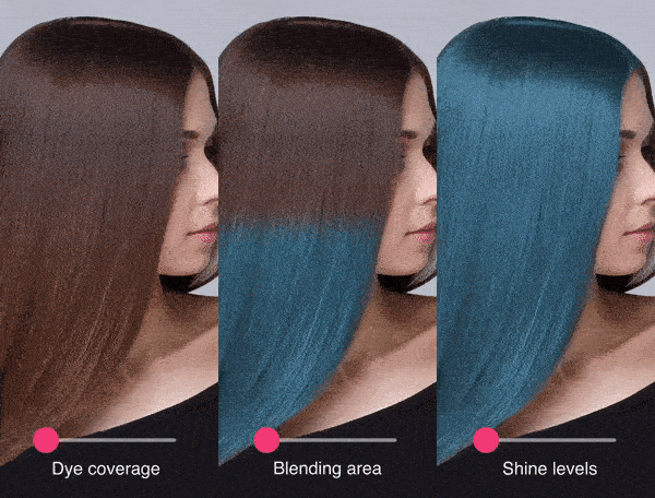 The Capabilities of Hair Dye Filters