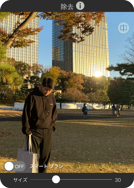 写真から人を消す様子