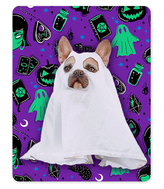 Entdecke die zahlreichen Halloween-Muster.