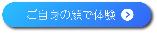 チュートリアル体験