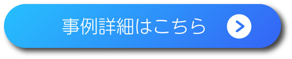 事例詳細