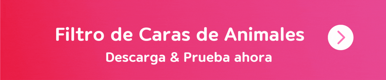 filtro de caras para fotos