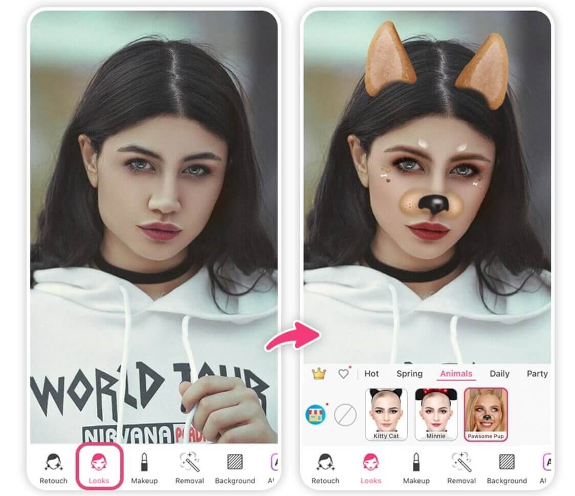 filtros para la cara con cara de animales