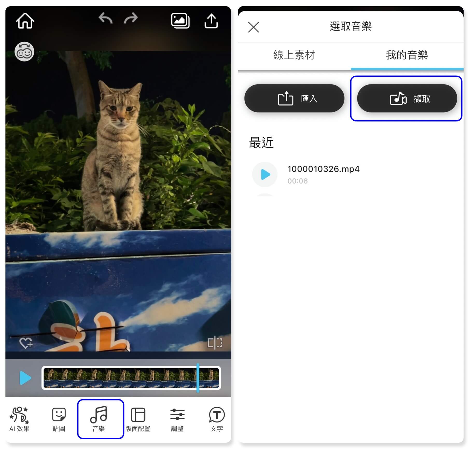 擷取影片音軌