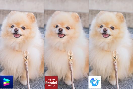 高画質化加工後の画像