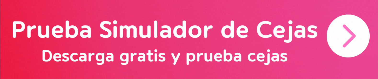simulador de cejas online