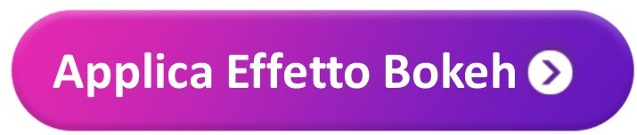 Applica l'effetto bokeh alle foto