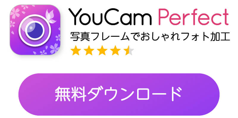ダウンロードボタン
