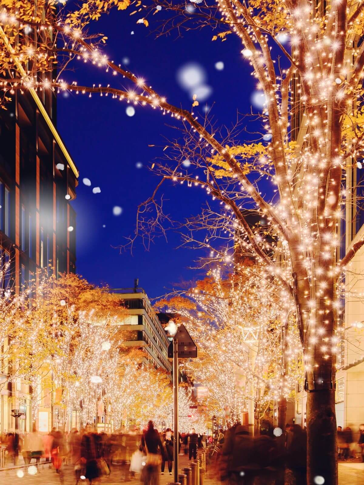 雪エフェクトを適用した写真
