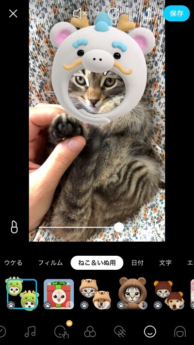 スノーでペットを加工