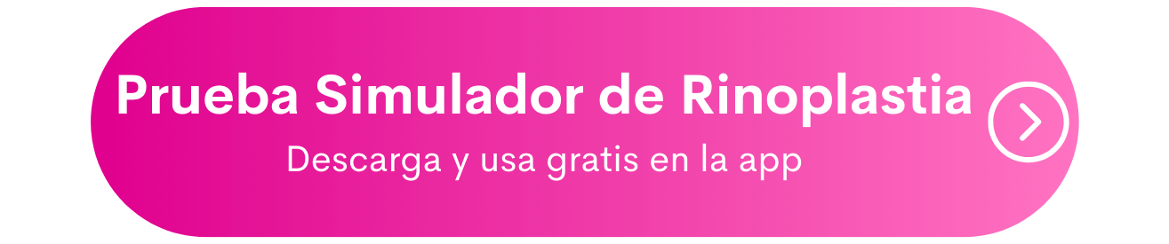 simulador de rinoplastia virtual