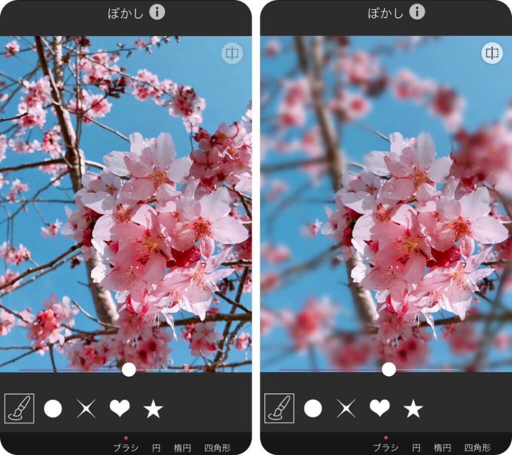 桜の写真の背景をぼかす