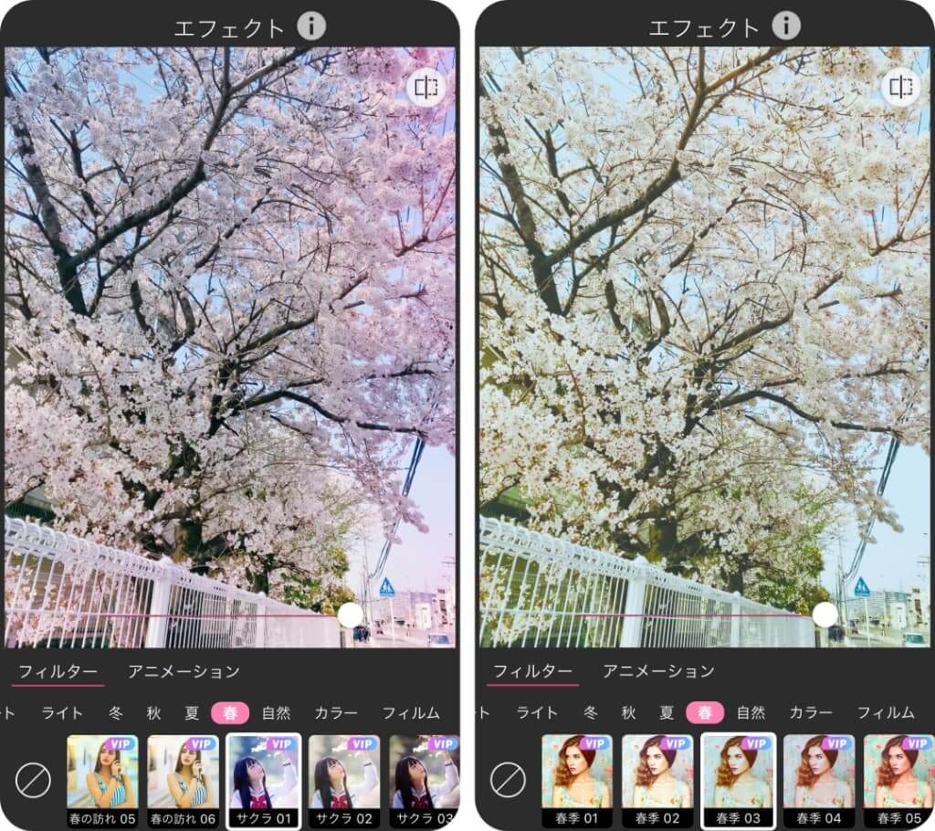 桜フィルター2