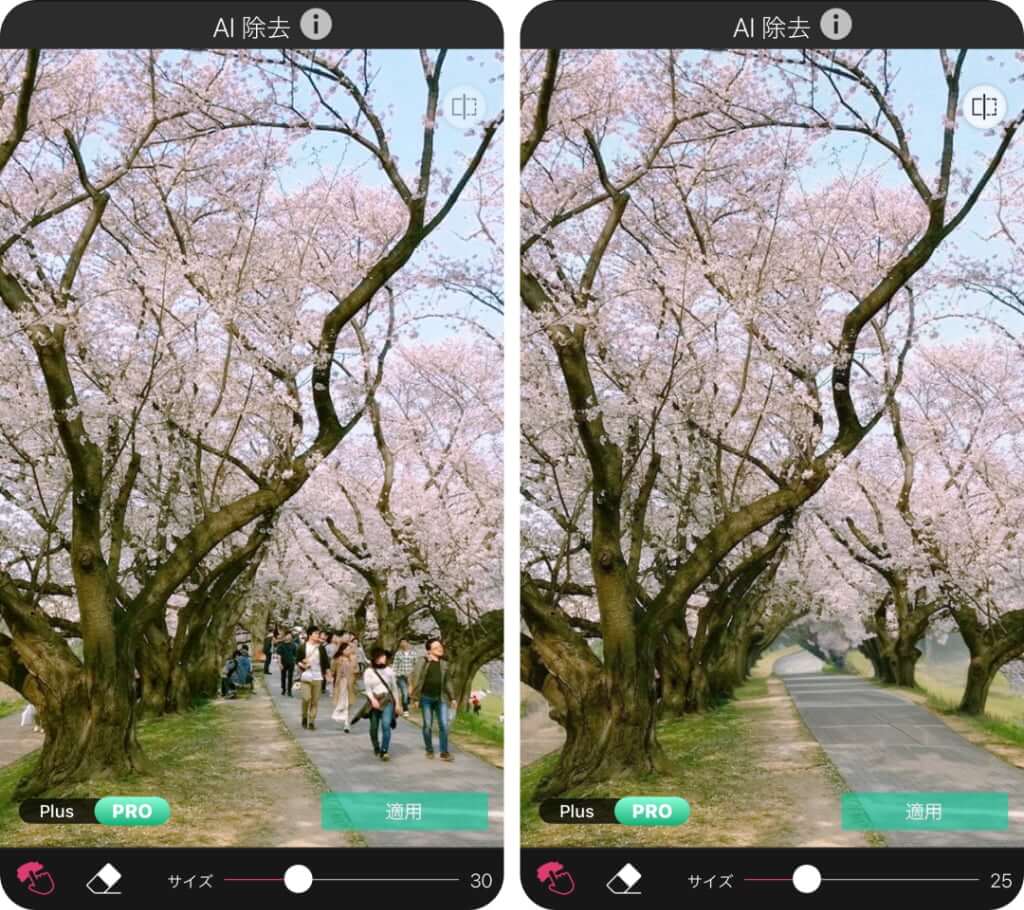 桜写真の背景に写りこんだ人を除去