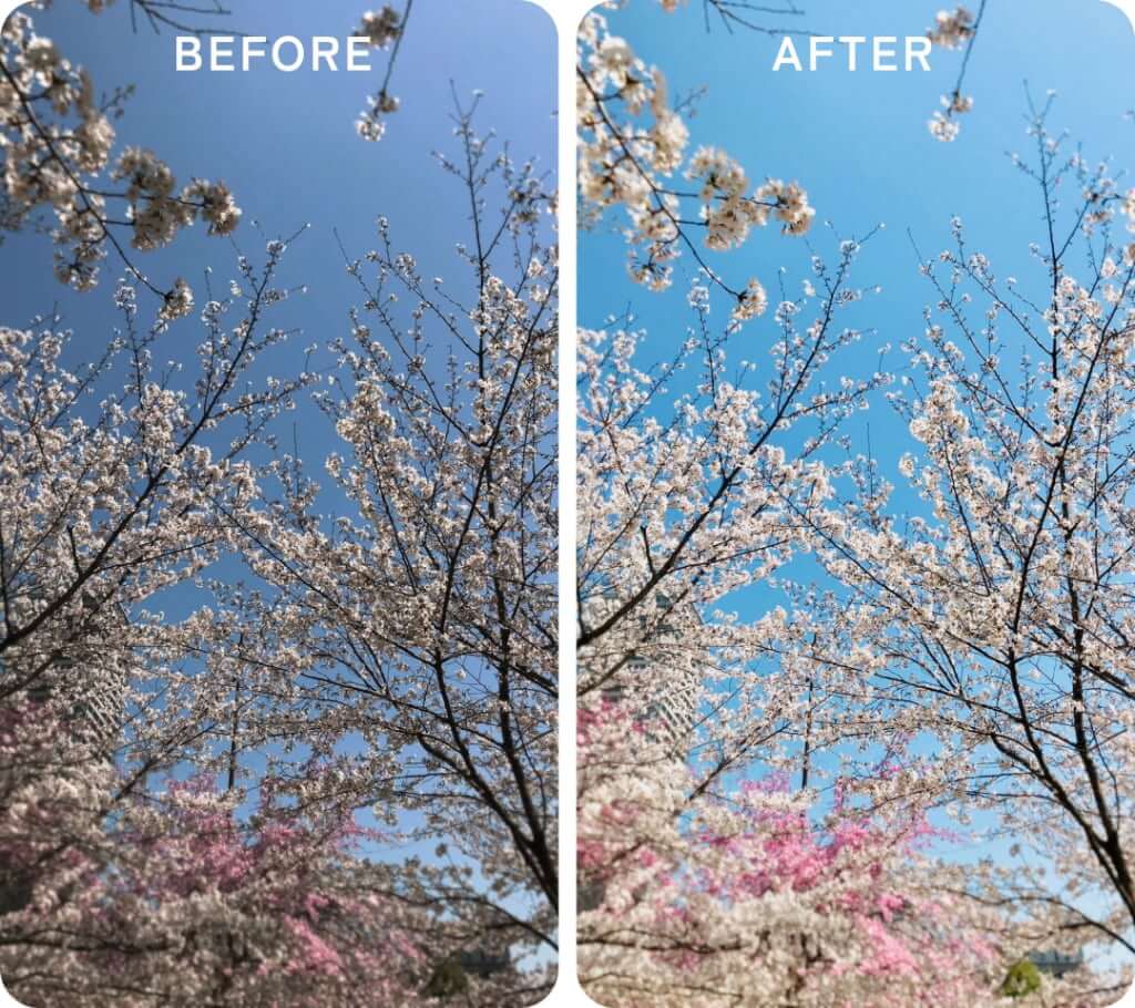iPhoneの写真編集機能で加工した桜