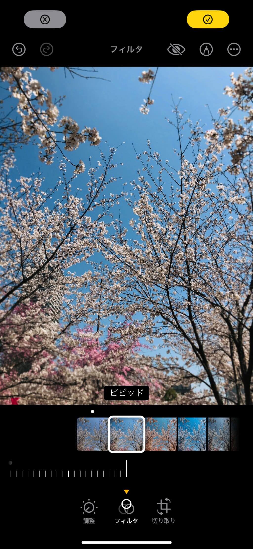 【ビビッド】で桜写真を鮮やかに