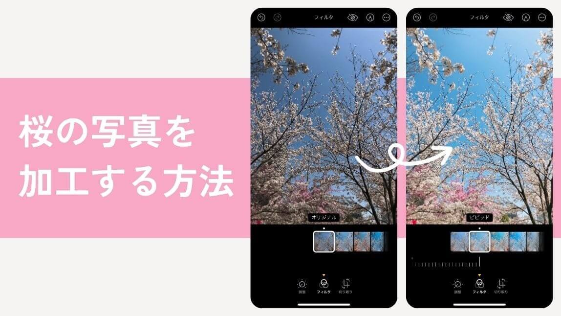 桜の写真を加工する方法の記事