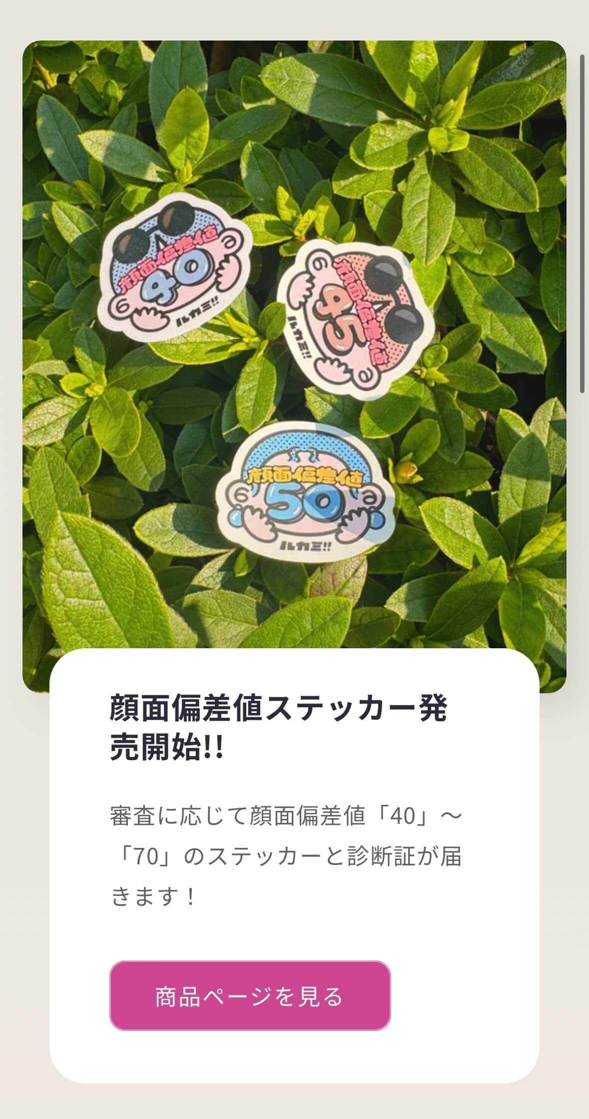 『ルカミ‼』の公式サイト