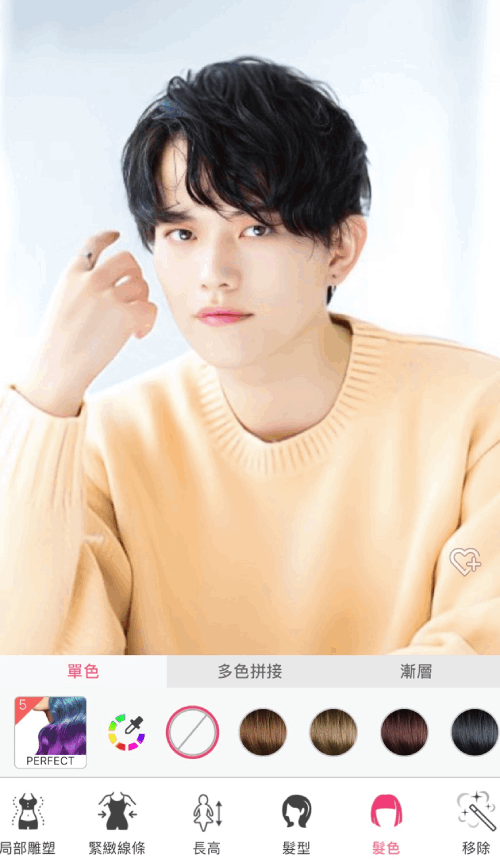 油頭髮色比較