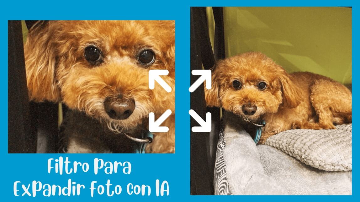 Antes y despues de usar la opcion de outpainting para que extienda la imagen