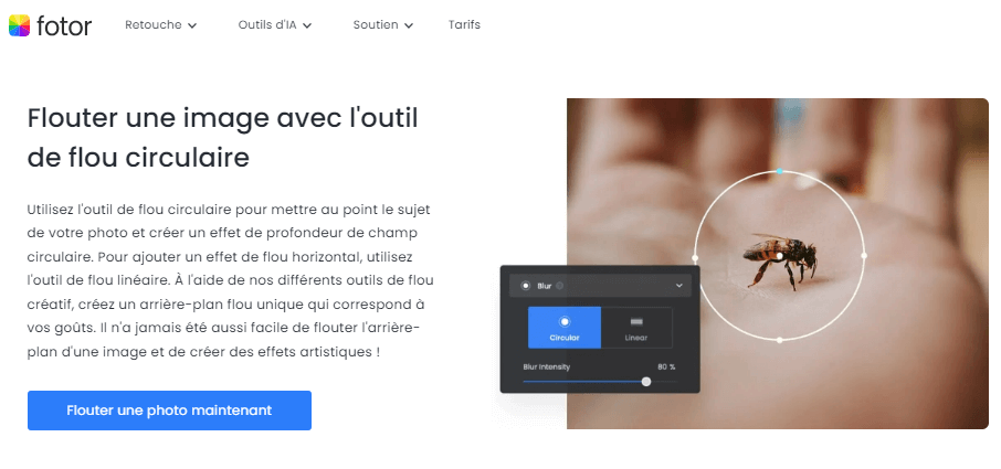 Flouter un arriere plan photo en ligne