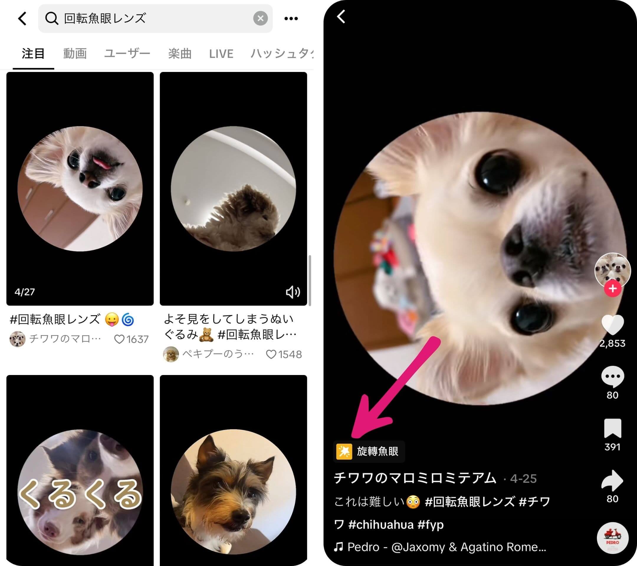 「旋轉魚眼」をタップ