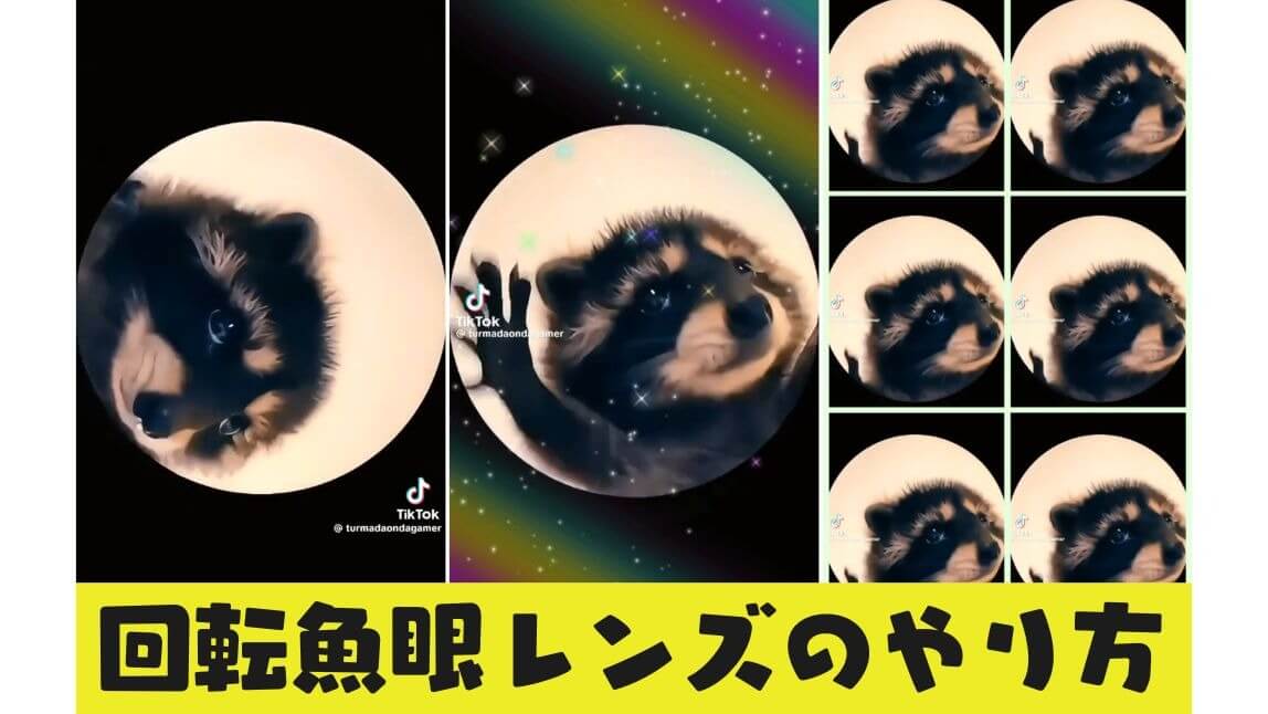 【SNSで話題】魚眼レンズ風の加工ができるアプリ！動画の作り方も紹介【2024年最新】
