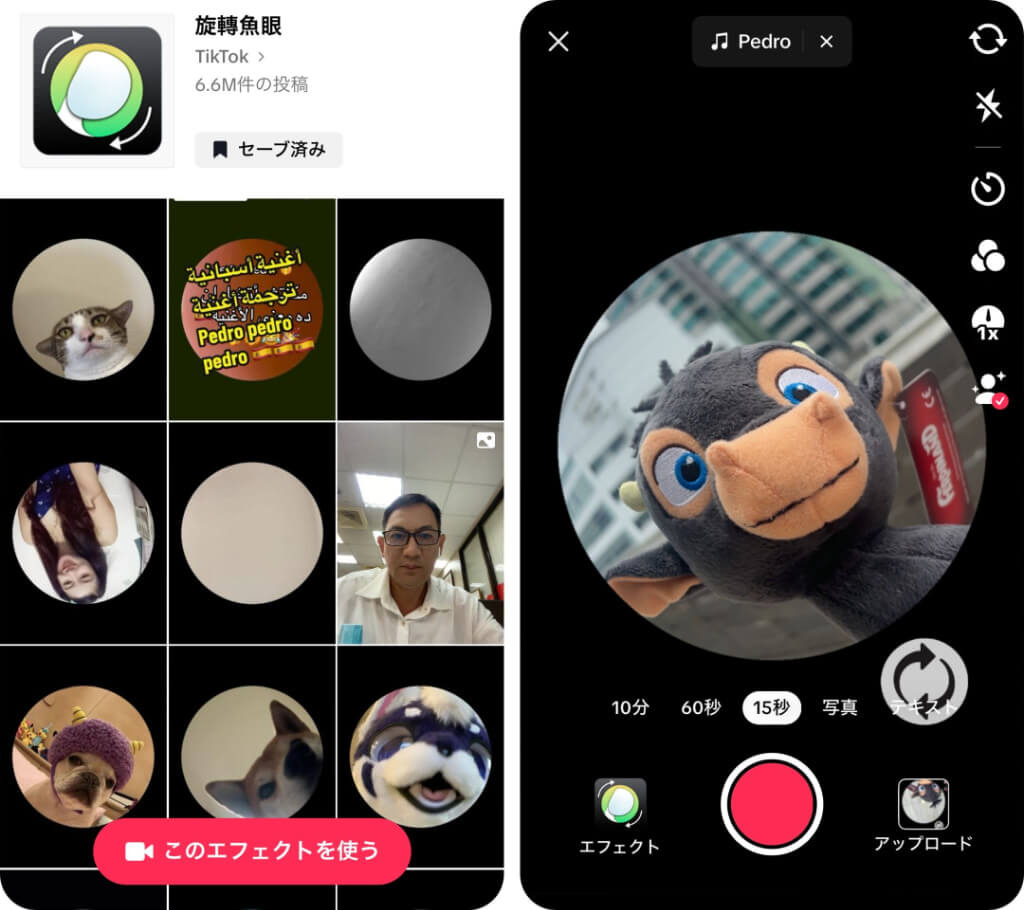 回転魚眼レンズが適用された様子