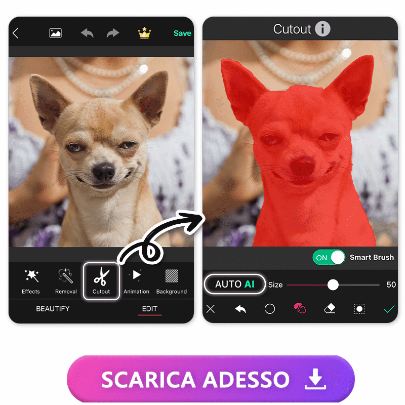 Rimuovi sfondo con YouCam Perfect