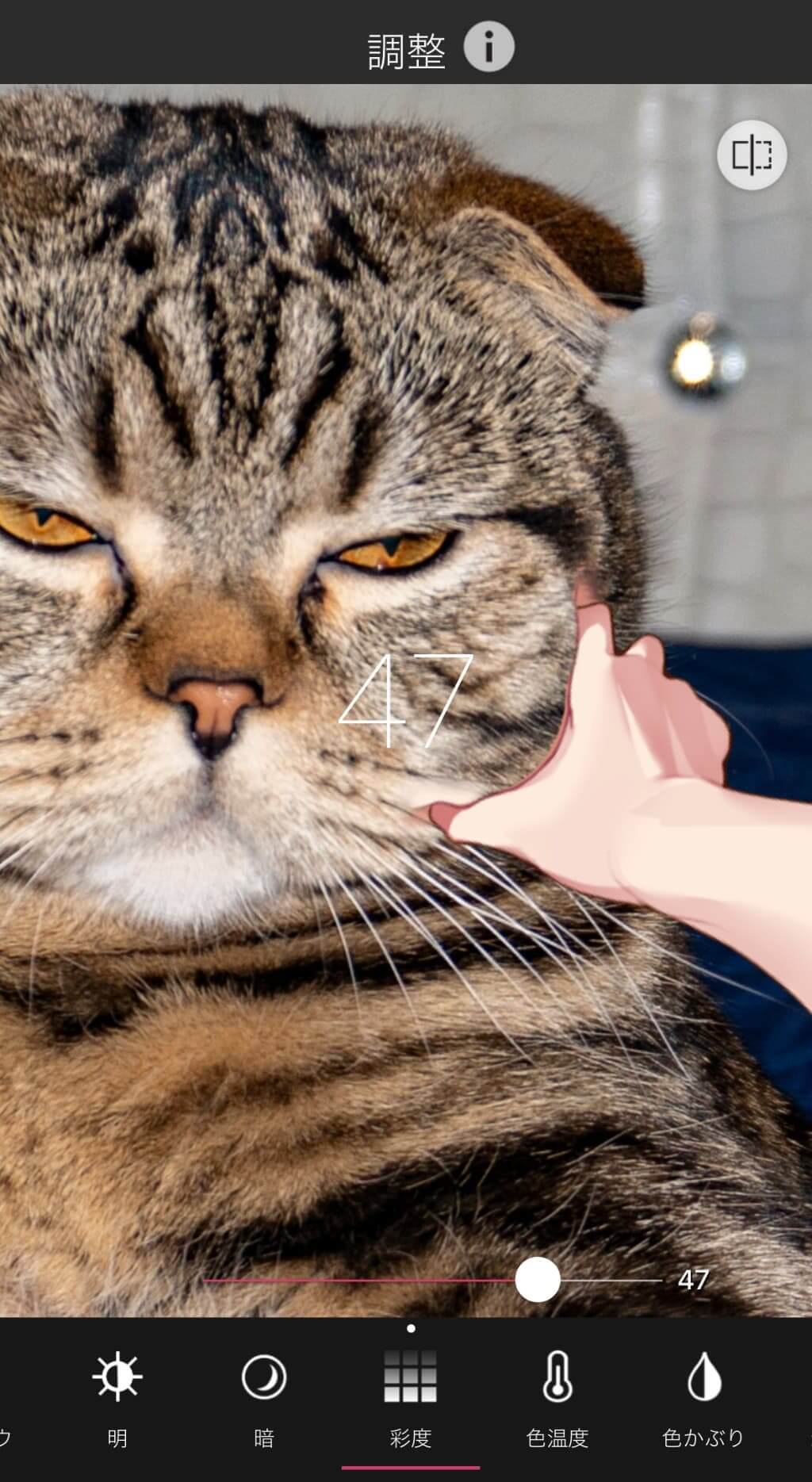 【調整】機能