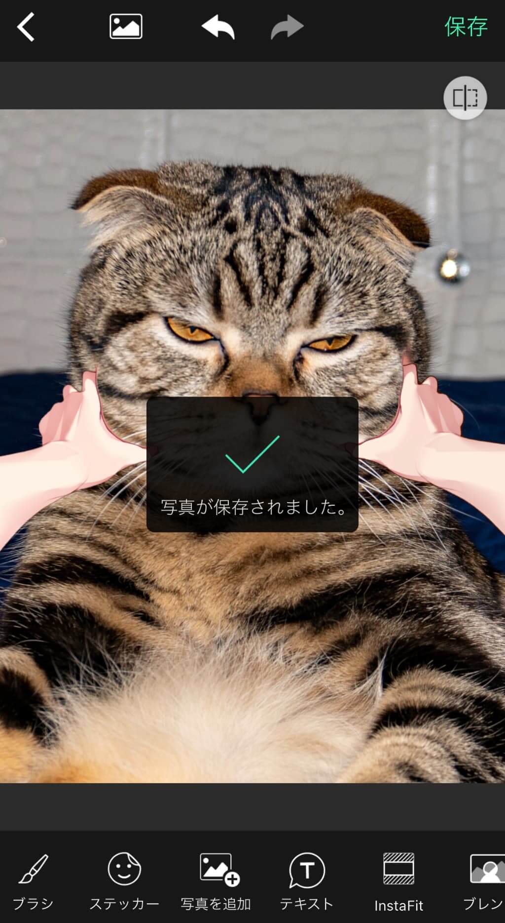 画像を保存する様子