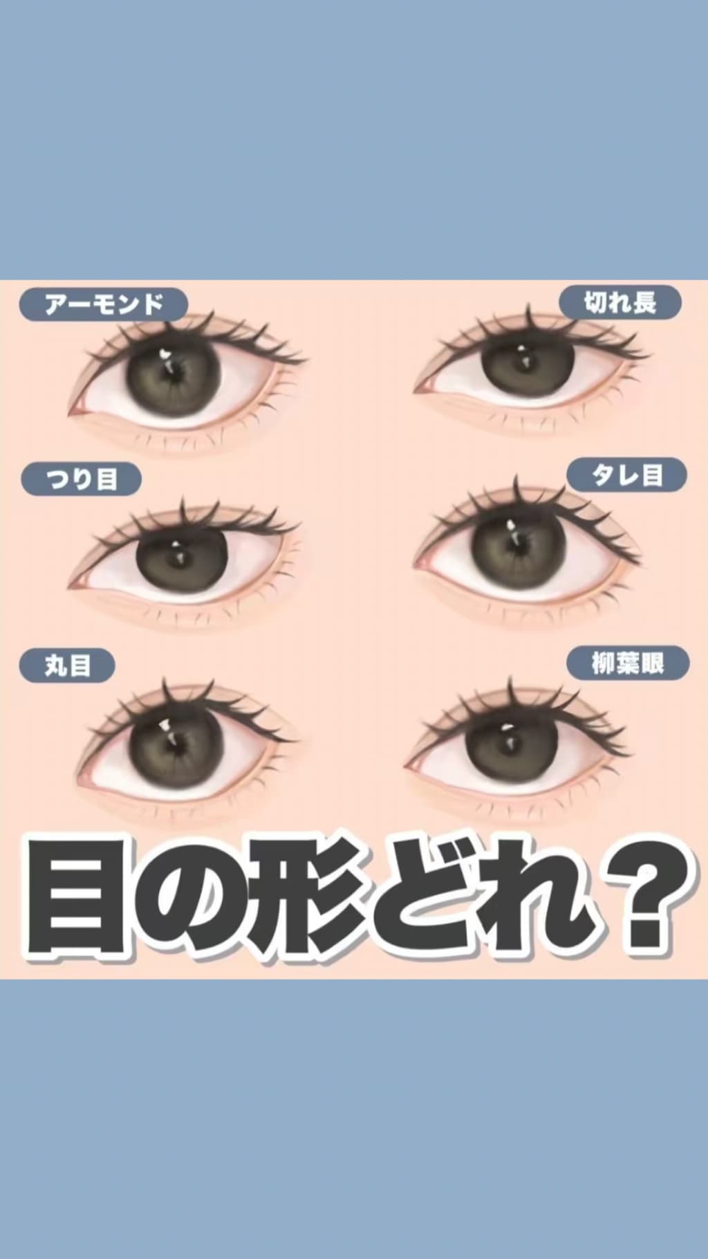 あなたの目の形はどれ？