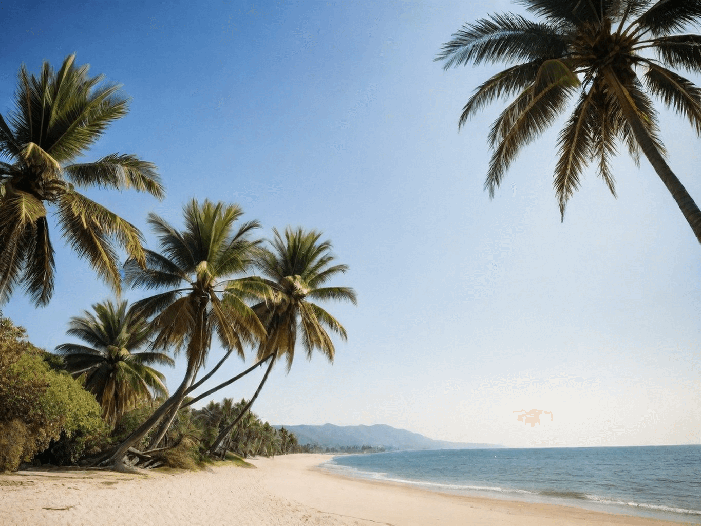 Sommerbilder: Am Strand
