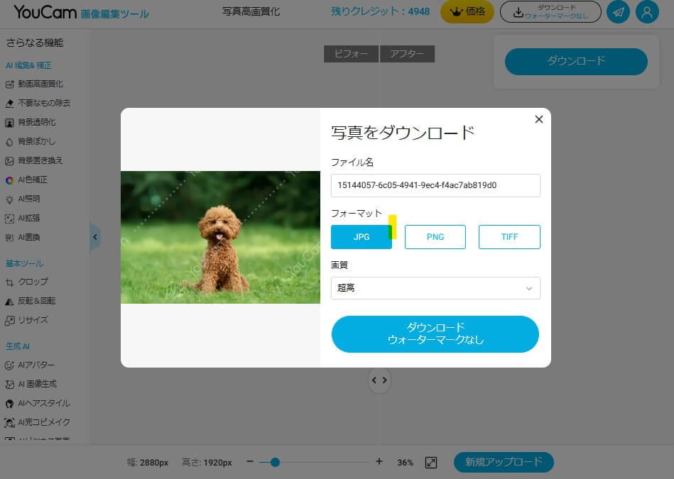 ぼかし除去ステップ３