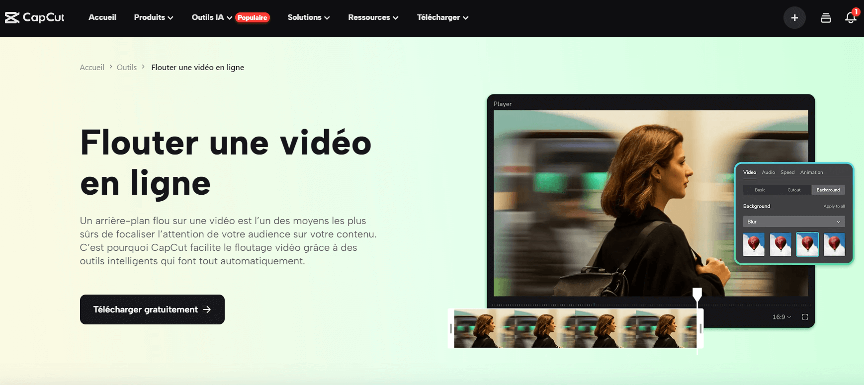 Flouter une video en ligne