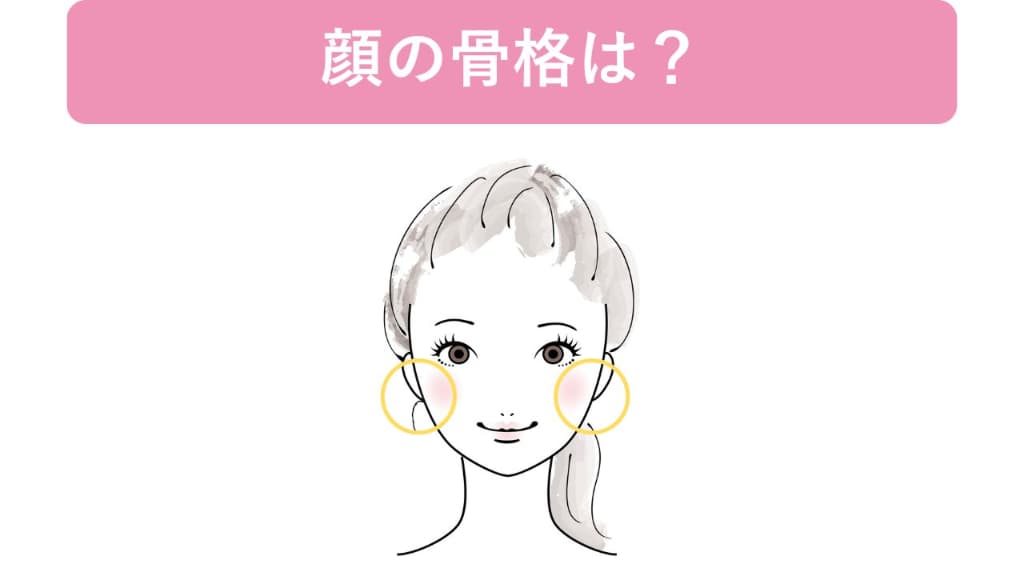 診断③顔の骨格は？