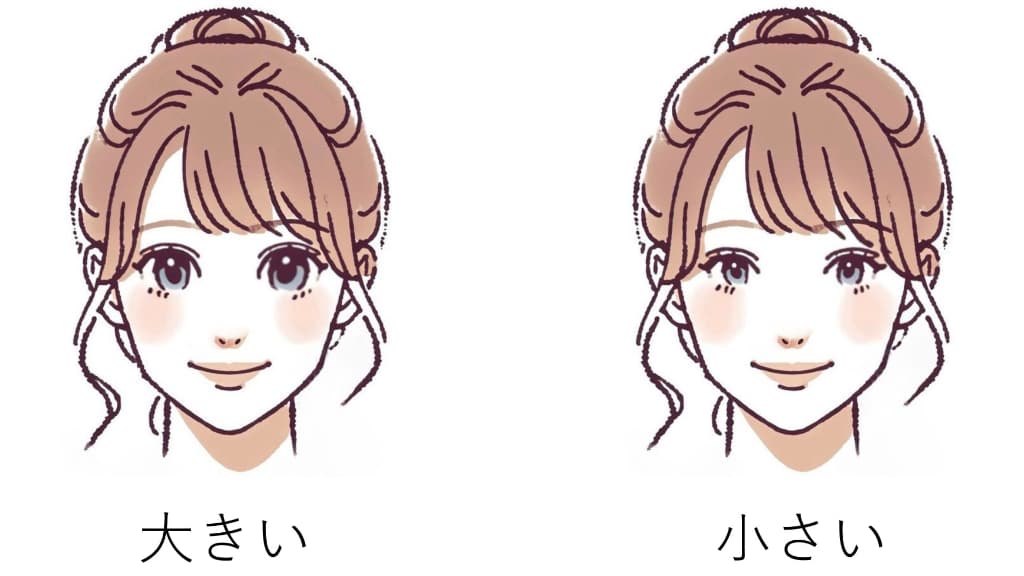 目が大きい？